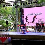Salsa Ladies 2019 - Sangre Salsera